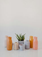 Pexels Tara Winstead 7663182